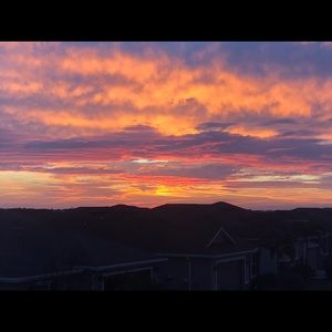 Meet your Posher, Reyna